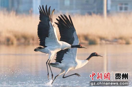 刘广惠 摄 刘广惠 摄