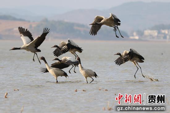 刘广惠 摄 刘广惠 摄