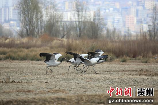 刘广惠 摄 刘广惠 摄