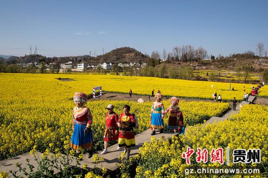 2024年3月11日,游客在贵州省黔西市洪水镇解放村观赏油菜花。 2024年3月11日,游客在贵州省黔西市洪水镇解放村观赏油菜花。