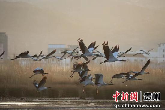 刘广惠 摄 刘广惠 摄