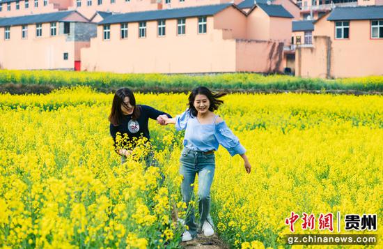 3月18日,游客在水城区陡箐镇梅子关村油菜花地里游乐。聂康 摄