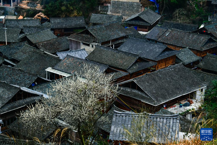 贵州榕江：传统村落激活<a href=//www.hp-dv.com target=_blank class=infotextkey>乡村振兴</a>新动能