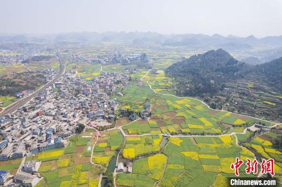 3月21日,航拍鲍家屯村油菜花田春景美如画。唐哲 摄 3月21日,航拍鲍家屯村油菜花田春景美如画。唐哲 摄