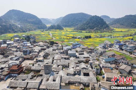 3月21日,航拍鲍家屯村屯堡建筑与绽放的油菜花田相映成趣。唐哲 摄 3月21日,航拍鲍家屯村屯堡建筑与绽放的油菜花田相映成趣。唐哲 摄