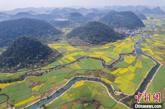 3月21日,航拍鲍家屯村油菜花田春景美如画。唐哲 摄 3月21日,航拍鲍家屯村油菜花田春景美如画。唐哲 摄