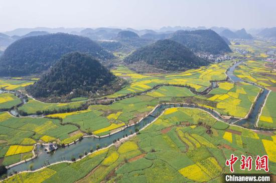 3月21日,航拍鲍家屯村油菜花田春景美如画。唐哲 摄 3月21日,航拍鲍家屯村油菜花田春景美如画。唐哲 摄