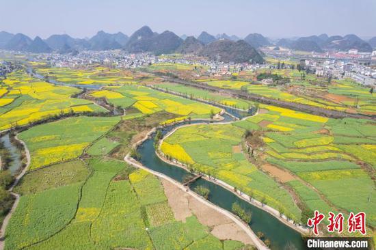 3月21日,航拍鲍家屯村油菜花田春景美如画。唐哲 摄 3月21日,航拍鲍家屯村油菜花田春景美如画。唐哲 摄