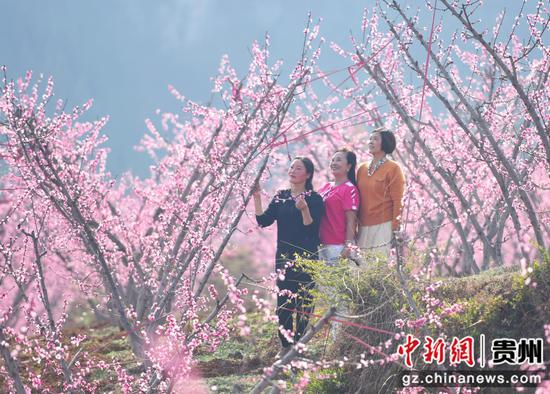 游人与桃花合影。黄庆松 摄
