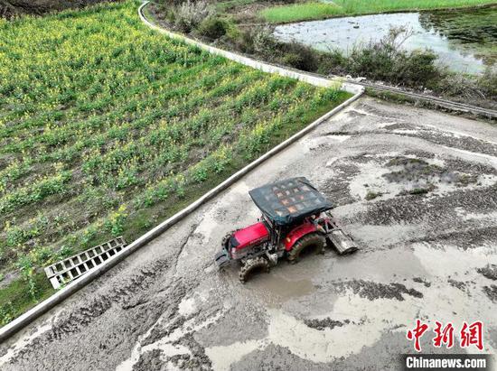 在贵州省锦屏县钟灵乡高寨村,村民在翻犁秧田为水稻播种做足准备。李斌 摄 在贵州省锦屏县钟灵乡高寨村,村民在翻犁秧田为水稻播种做足准备。李斌 摄