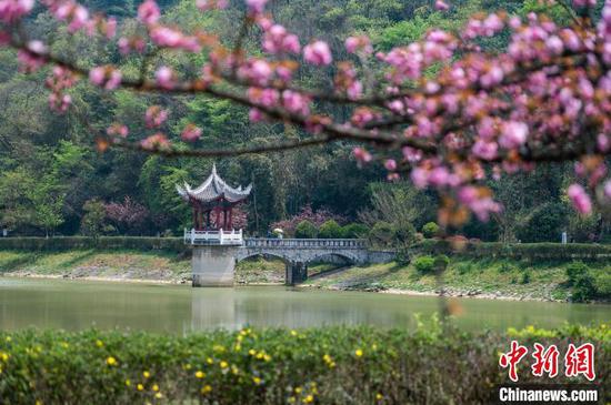 3月30日,<a href=//www.hp-dv.com target=_blank class=infotextkey>贵阳</a>市白云区长坡岭国家森林公园春意盎然,市民游玩乐享周末。唐哲 摄 3月30日,<a href=//www.hp-dv.com target=_blank class=infotextkey>贵阳</a>市白云区长坡岭国家森林公园春意盎然,市民游玩乐享周末。唐哲 摄