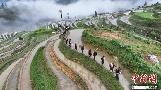 图为从江县加榜梯田景区举行的2024年苗族“开秧门”春耕活动现场。尹刚 摄 图为从江县加榜梯田景区举行的2024年苗族“开秧门”春耕活动现场。尹刚 摄