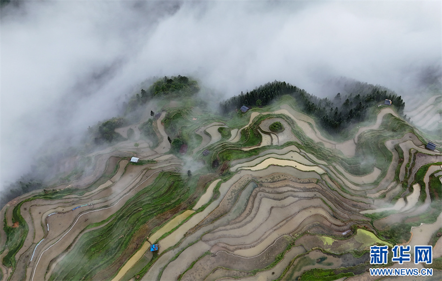 贵州从江：雨后梯田水墨画卷