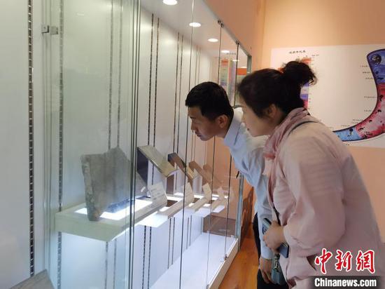 图为民众在参观贵州龙化石。周燕玲 摄 图为民众在参观贵州龙化石。周燕玲 摄