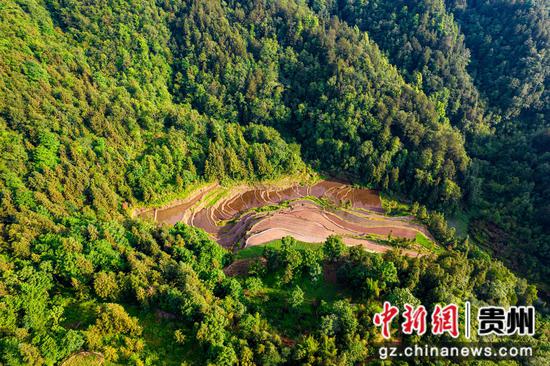 2024年5月20日拍摄的贵州省黔西市金碧镇万家寨社区梯田(无人机照片)。DJI_0976 2024年5月20日拍摄的贵州省黔西市金碧镇万家寨社区梯田(无人机照片)。DJI_0976