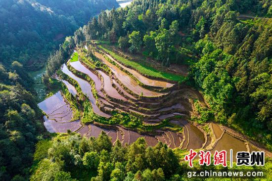 2024年5月20日拍摄的贵州省黔西市金碧镇万家寨社区梯田(无人机照片)。 2024年5月20日拍摄的贵州省黔西市金碧镇万家寨社区梯田(无人机照片)。