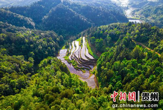 2024年5月20日拍摄的贵州省黔西市金碧镇万家寨社区梯田(无人机照片)。 2024年5月20日拍摄的贵州省黔西市金碧镇万家寨社区梯田(无人机照片)。