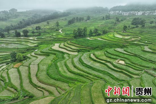 航拍贵州惠水雅水镇蓬路梯田 航拍贵州惠水雅水镇蓬路梯田