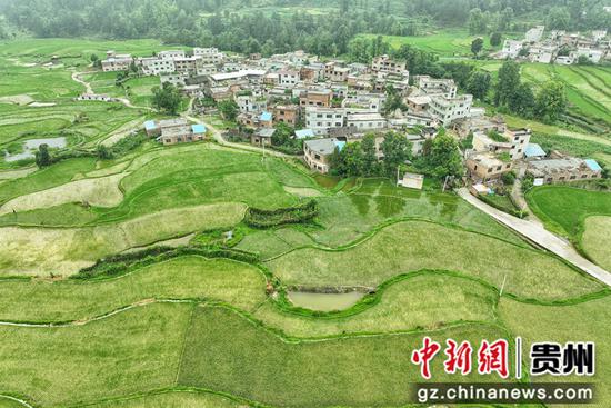 航拍贵州惠水雅水镇蓬路梯田 航拍贵州惠水雅水镇蓬路梯田
