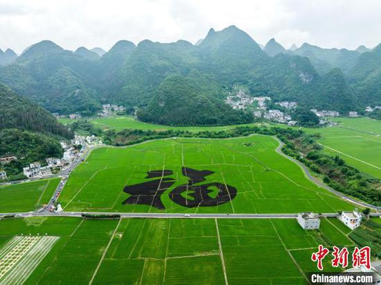 6月23日,贵州省<a href=//www.hp-dv.com target=_blank class=infotextkey>黔西南</a>布依族苗族自治州兴义市万峰林层岭叠翠,云雾缭绕,峰林、民居构成一幅美丽的田园风光画卷。中新社记者 唐哲 摄 6月23日,贵州省<a href=//www.hp-dv.com target=_blank class=infotextkey>黔西南</a>布依族苗族自治州兴义市万峰林层岭叠翠,云雾缭绕,峰林、民居构成一幅美丽的田园风光画卷。中新社记者 唐哲 摄