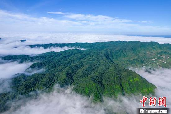 7月2日,地处乌蒙山腹地的贵州省黔西市中坪镇顺石林场,层峦叠翠、云雾缭绕,“林海”与“云海”相映,呈现出一幅幅生态美景。史开心 摄 7月2日,地处乌蒙山腹地的贵州省黔西市中坪镇顺石林场,层峦叠翠、云雾缭绕,“林海”与“云海”相映,呈现出一幅幅生态美景。史开心 摄