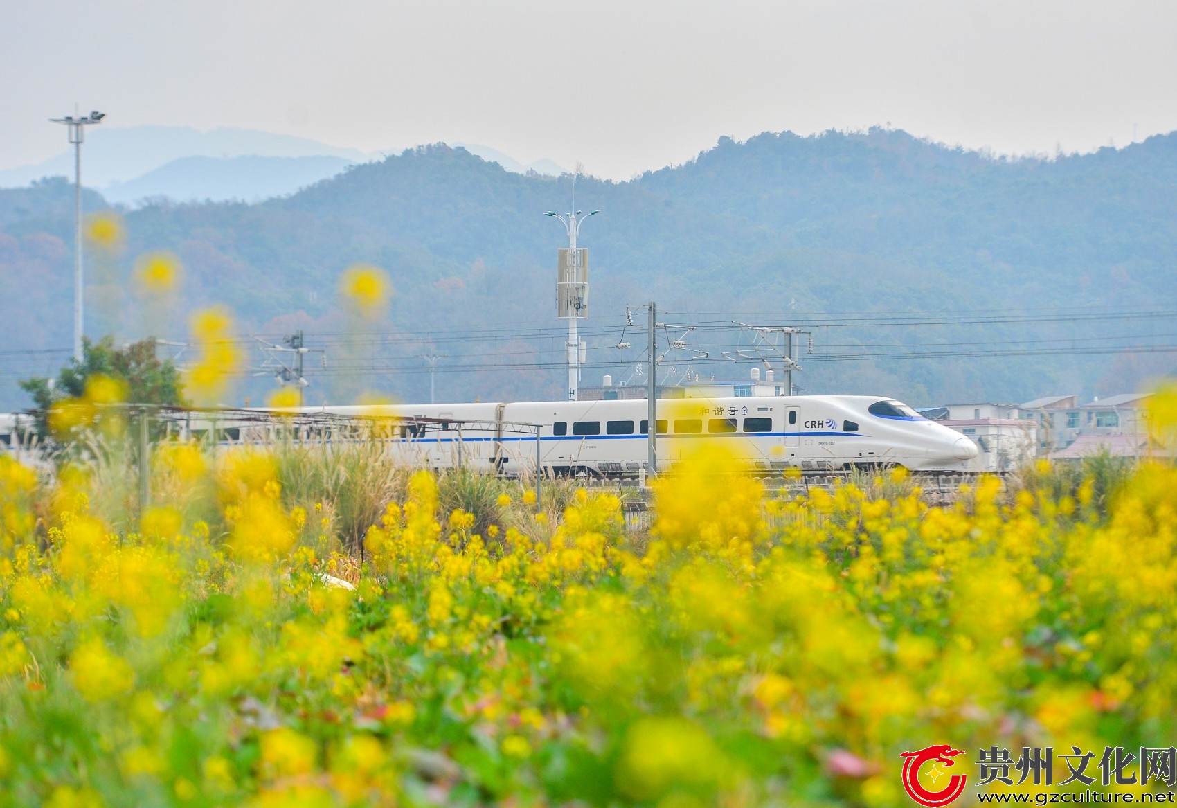贵州从江：花香伴旅途