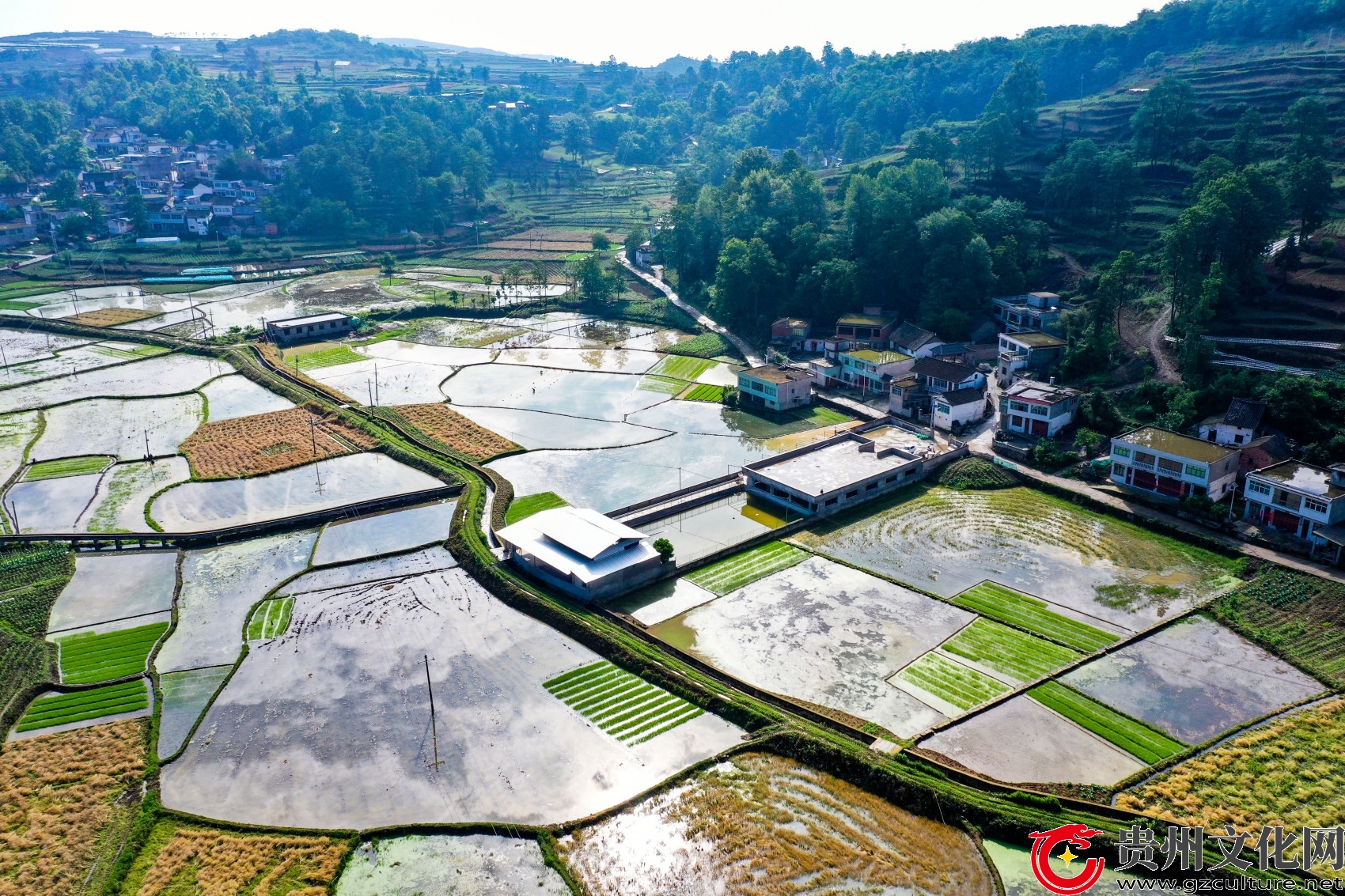 贵州黔西：和美乡村入画来