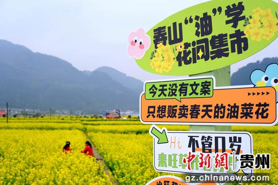 打卡墙。李珊珊 摄