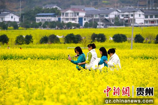 游客徜徉在油菜花田间。李珊珊 摄